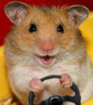 Аватара пользователя